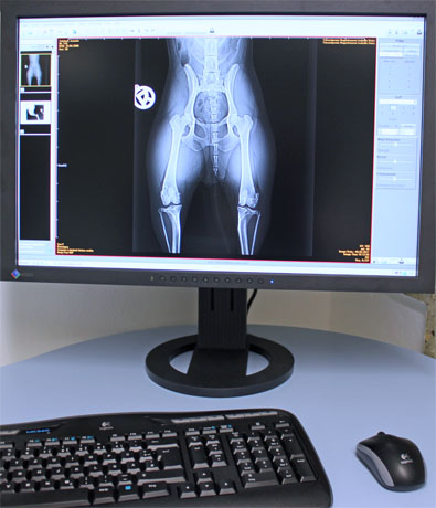 Roentgen Workstation Roentgen Workstation