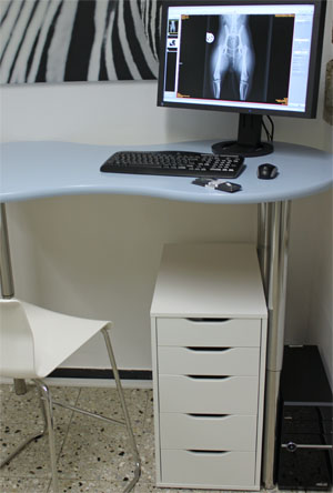 Roentgen Workstation Roentgen Workstation