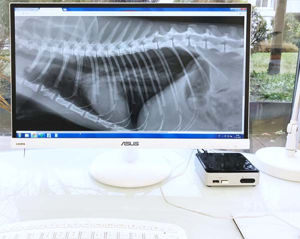 Digital Röntgen Behandlungsräume