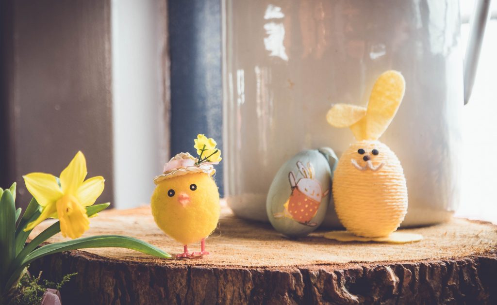 yellow bird plush toy on brown wood